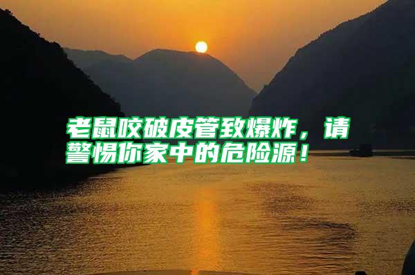 老鼠咬破皮管致爆炸，請警惕你家中的危險源！