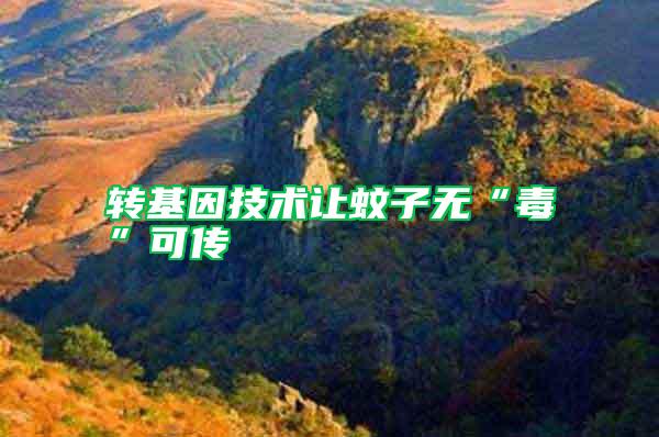 轉基因技術讓蚊子無“毒”可傳