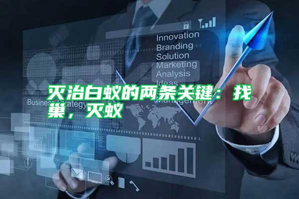 滅治白蟻的兩條關鍵:找巢,滅蟻