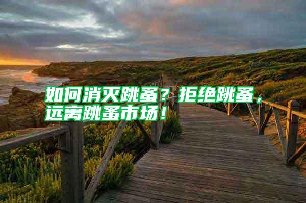 如何消滅跳蚤？拒絕跳蚤，遠(yuǎn)離跳蚤市場(chǎng)！