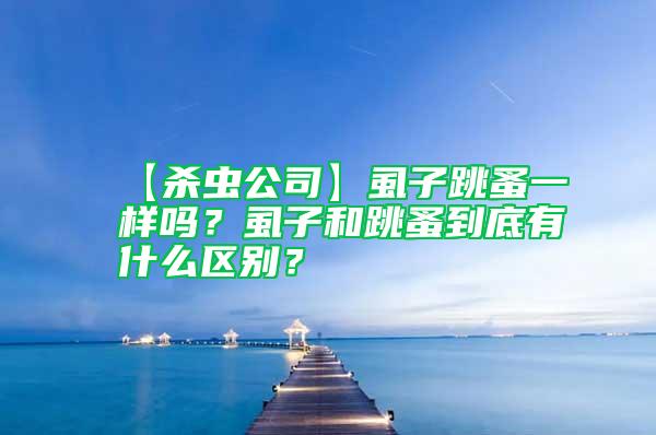 【殺蟲公司】虱子跳蚤一樣嗎?虱子和跳蚤到底有什么區別?