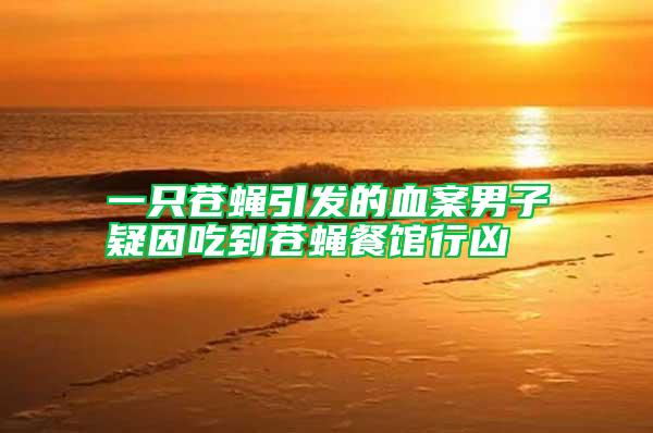 一只蒼蠅引發的血案男子疑因吃到蒼蠅餐館行兇