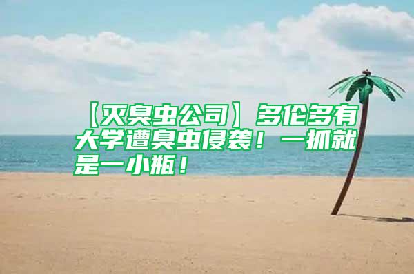 【滅臭蟲公司】多倫多有大學遭臭蟲侵襲！一抓就是一小瓶！