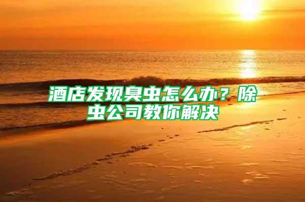 酒店發(fā)現(xiàn)臭蟲怎么辦?除蟲公司教你解決