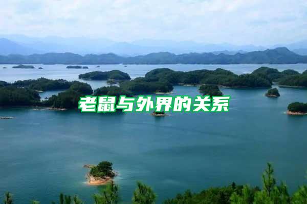 老鼠與外界的關系