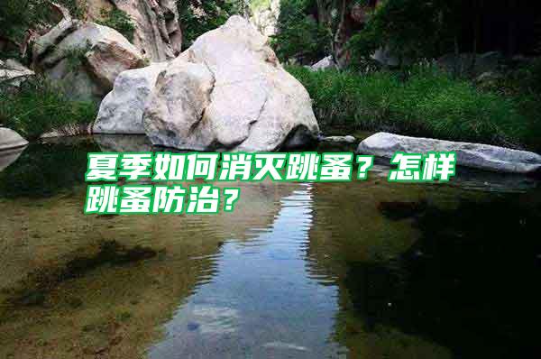 夏季如何消滅跳蚤？怎樣跳蚤防治？
