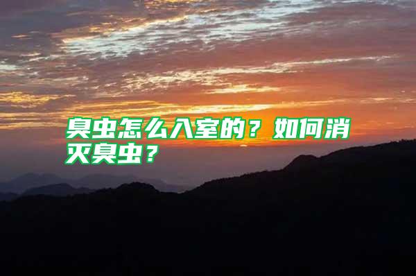 臭蟲怎么入室的？如何消滅臭蟲？