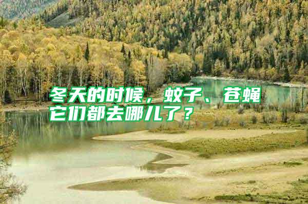 冬天的時候，蚊子、蒼蠅它們都去哪兒了？