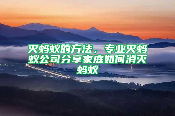滅螞蟻的方法,專業(yè)滅螞蟻公司分享家庭如何消滅螞蟻