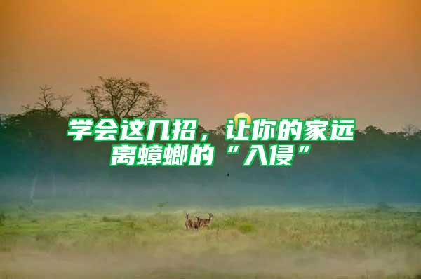 學會這幾招,讓你的家遠離蟑螂的“入侵”