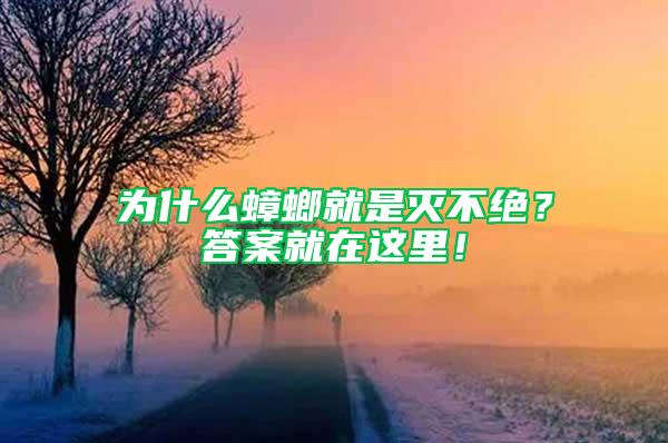 為什么蟑螂就是滅不絕?答案就在這里!