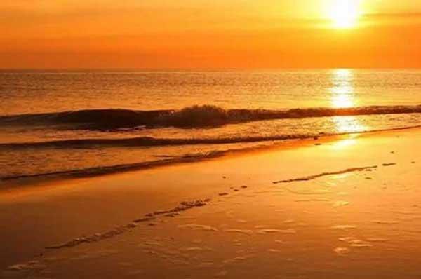 多雨季節(jié)蚊子繁殖進(jìn)入高峰期