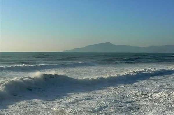 夏天，你還得提防這種蟲子，被咬后可能致命