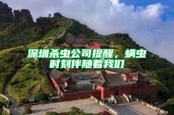 深圳殺蟲公司提醒，螨蟲時刻伴隨著我們