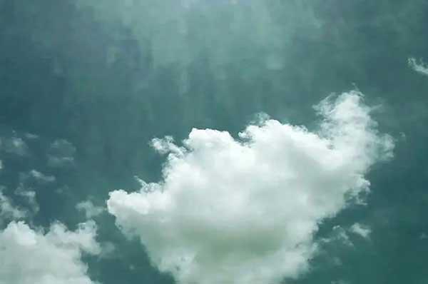 深圳滅蟑螂除四害公司專業酒店酒樓餐飲廚房家庭滅蟑螂