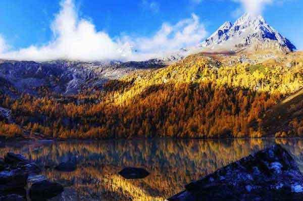 除四害公司綜合治理蚊蟲的要點