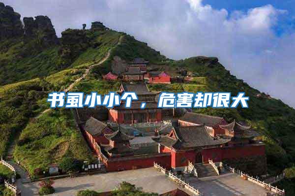 書虱小小個(gè),危害卻很大