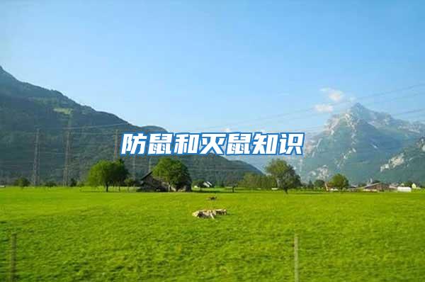 防鼠和滅鼠知識(shí)