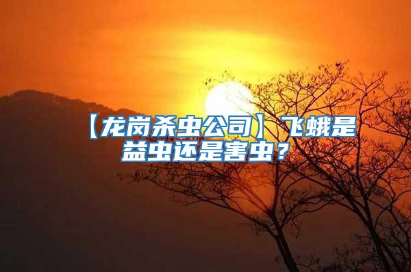 【龍崗殺蟲公司】飛蛾是益蟲還是害蟲？