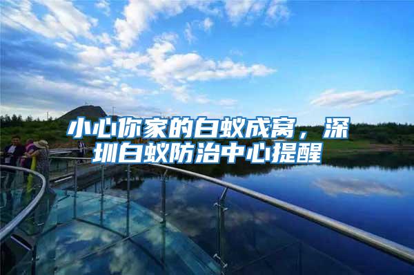 小心你家的白蟻成窩，深圳白蟻防治中心提醒