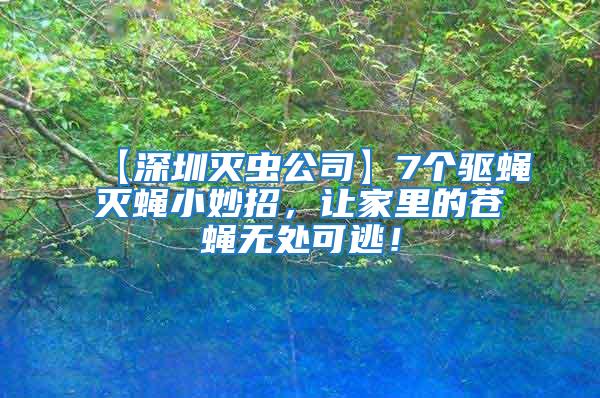 【深圳滅蟲公司】7個驅蠅滅蠅小妙招，讓家里的蒼蠅無處可逃！