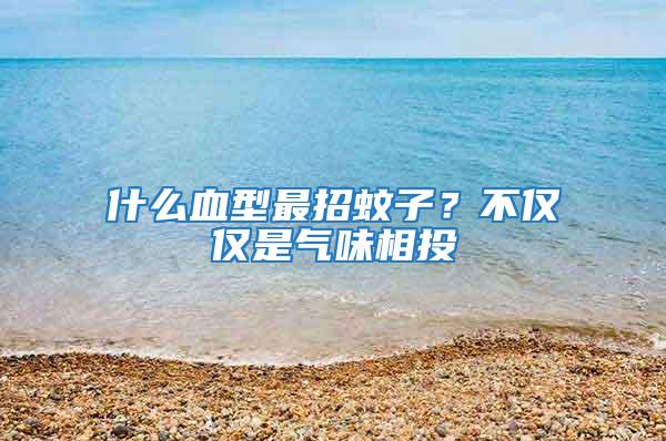 什么血型最招蚊子?不僅僅是氣味相投