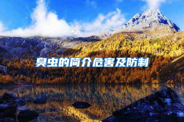 臭蟲(chóng)的簡(jiǎn)介危害及防制