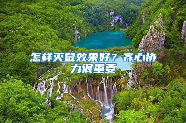 怎樣滅鼠效果好？齊心協(xié)力很重要