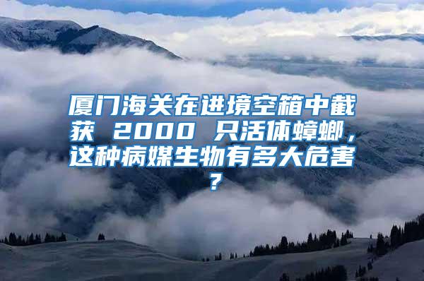 廈門海關(guān)在進境空箱中截獲 2000 只活體蟑螂,這種病媒生物有多大危害?