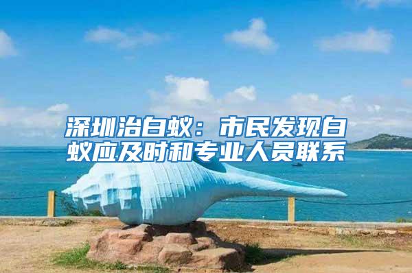 深圳治白蟻:市民發現白蟻應及時和專業人員聯系