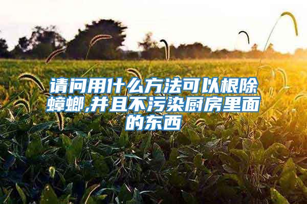 請問用什么方法可以根除蟑螂,并且不污染廚房里面的東西