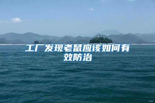 工廠發現老鼠應該如何有效防治