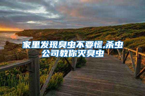 家里發(fā)現(xiàn)臭蟲不要慌,殺蟲公司教你滅臭蟲