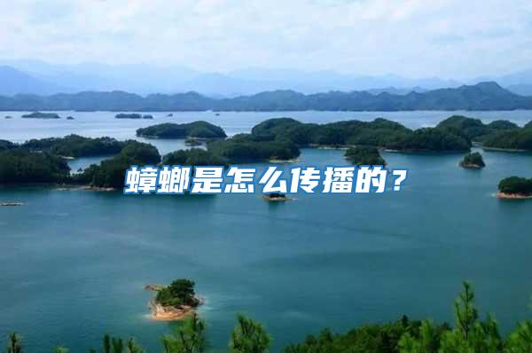 蟑螂是怎么傳播的？