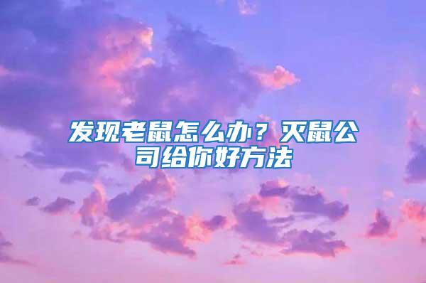 發現老鼠怎么辦?滅鼠公司給你好方法