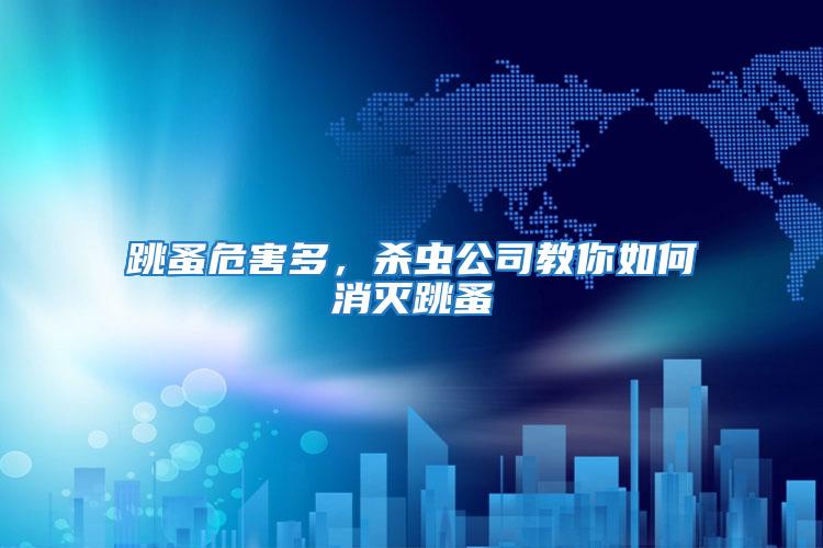 跳蚤危害多，殺蟲公司教你如何消滅跳蚤