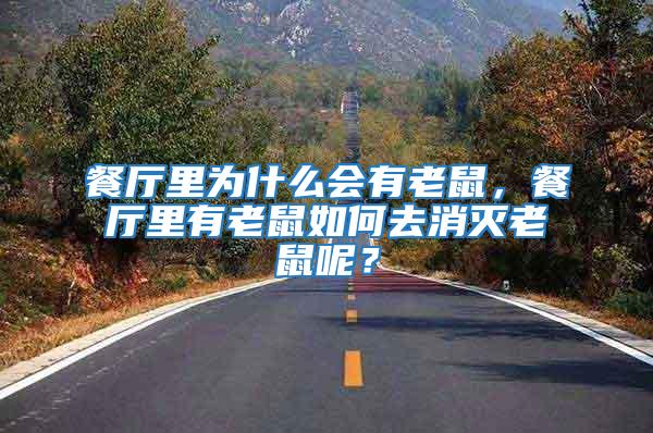 餐廳里為什么會(huì)有老鼠，餐廳里有老鼠如何去消滅老鼠呢？