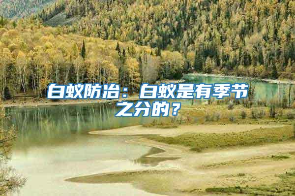 白蟻防冶:白蟻是有季節(jié)之分的?