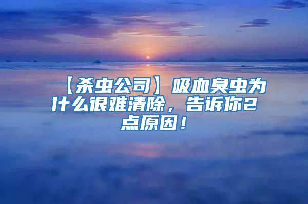 【殺蟲公司】吸血臭蟲為什么很難清除,告訴你2點原因!