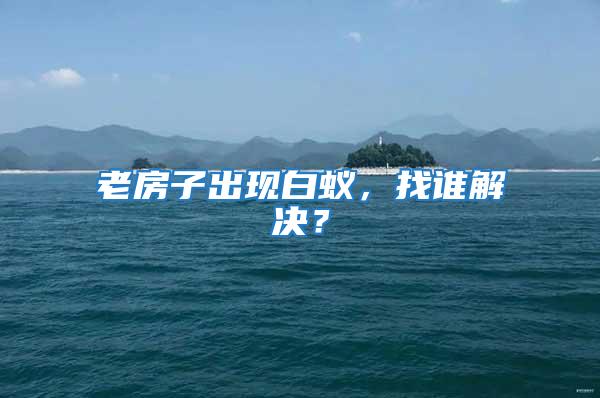 老房子出現白蟻，找誰解決？