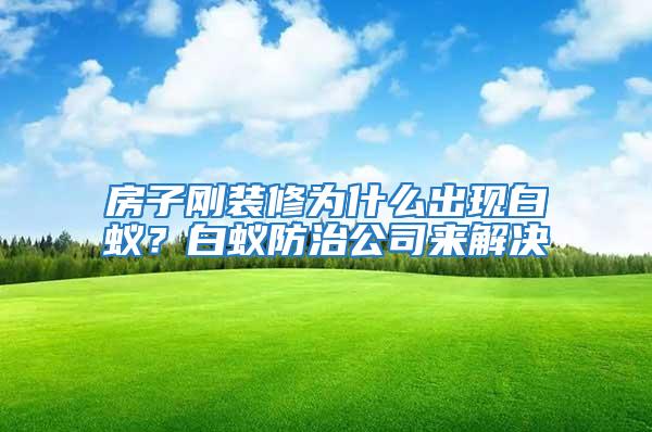 房子剛裝修為什么出現白蟻?白蟻防治公司來解決