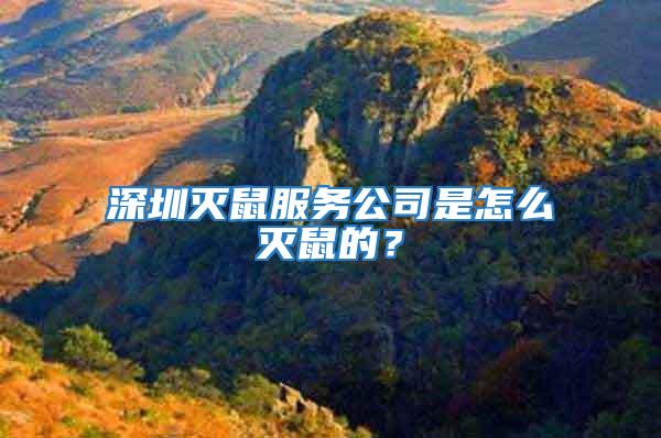 深圳滅鼠服務公司是怎么滅鼠的?