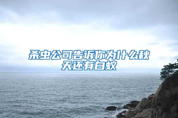 殺蟲公司告訴你為什么秋天還有白蟻