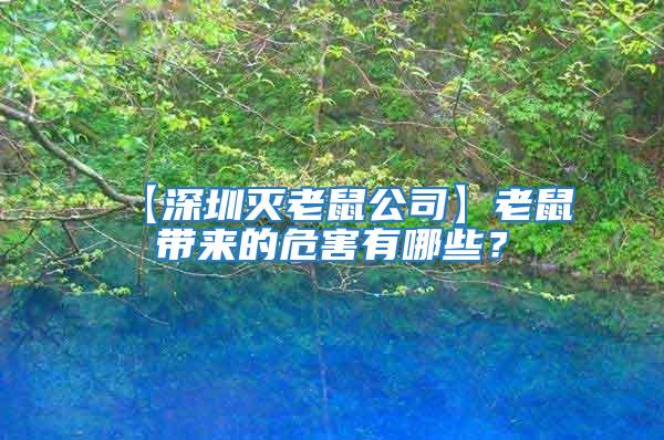 【深圳滅老鼠公司】老鼠帶來的危害有哪些?