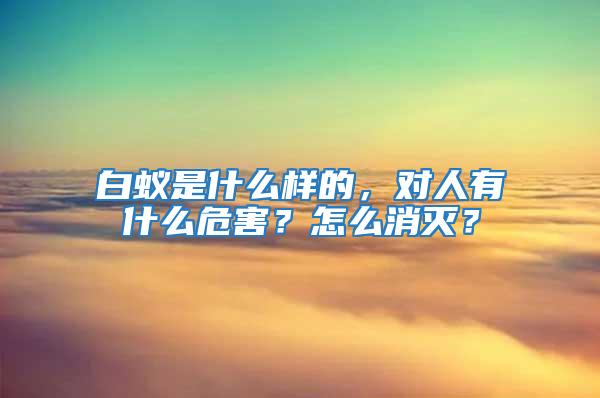 白蟻是什么樣的,對人有什么危害?怎么消滅?