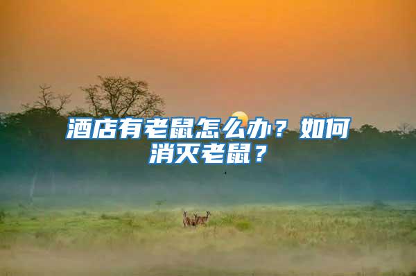 酒店有老鼠怎么辦?如何消滅老鼠?