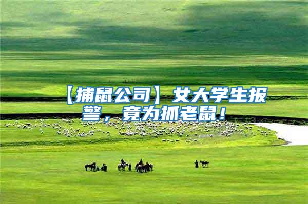 【捕鼠公司】女大學生報警，竟為抓老鼠！