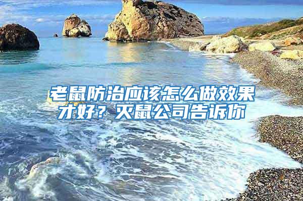 老鼠防治應該怎么做效果才好？滅鼠公司告訴你