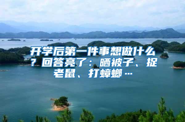 開學后第一件事想做什么？回答亮了：曬被子、捉老鼠、打蟑螂…