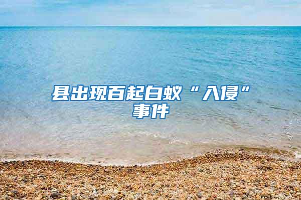 縣出現百起白蟻“入侵”事件